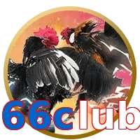 66club